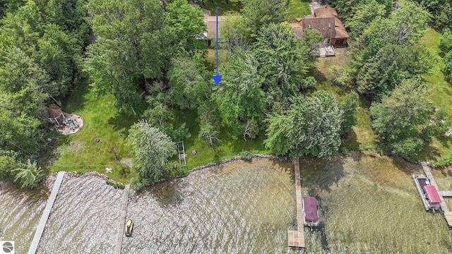 7786 N Shore Ct, Grawn, MI 49637 - aerial view of property and surrounding area