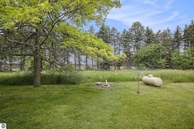 1520 Kuehn Rd, Sterling, MI 48659 - view of grassy yard