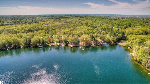 398 High View Rd, Traverse City, MI 49696 - aerial overview of property's location with a heavily wooded area and a large body of water