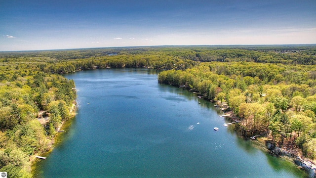 398 High View Rd, Traverse City, MI 49696 - aerial view of a heavily wooded area and a large body of water