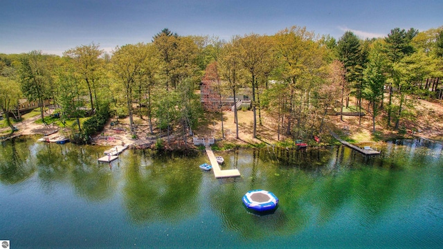 398 High View Rd, Traverse City, MI 49696 - water view