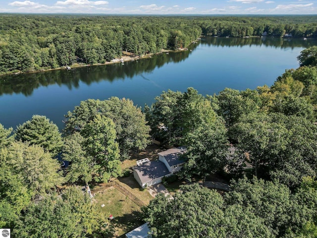 398 High View Rd, Traverse City, MI 49696 - view of property location with a forest and a large body of water