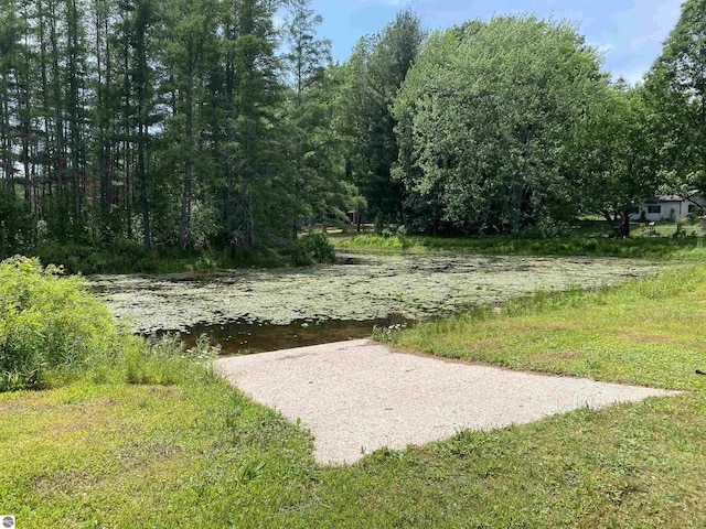 314 Yellow Pine Cir, Cadillac, MI 49601
