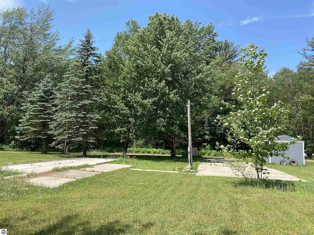 314 Yellow Pine Cir, Cadillac, MI 49601