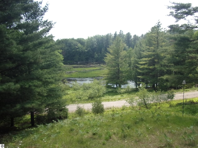 60 Sheer Rd, East Tawas, MI 48730 - view of undeveloped land featuring a nearby body of water