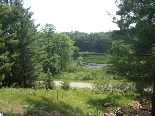 60 Sheer Rd, East Tawas, MI 48730 - view of tree filled area featuring a water view