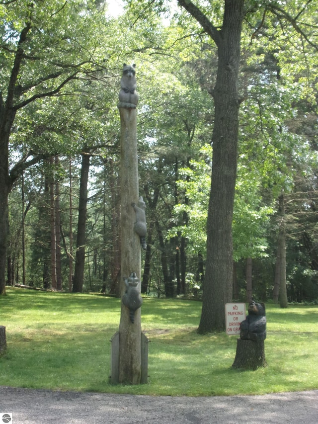 60 Sheer Rd, East Tawas, MI 48730 - surrounding community featuring a yard and a view of trees
