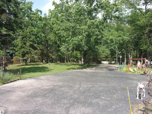 60 Sheer Rd, East Tawas, MI 48730 - view of road