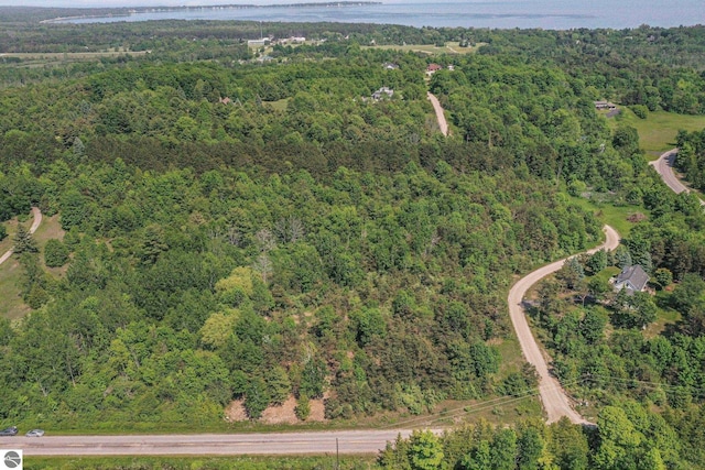 N Nelson Rd, Northport, MI 49670