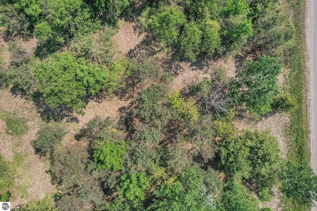 N Nelson Rd, Northport, MI 49670