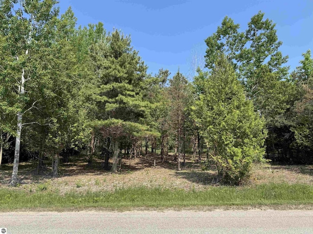 N Nelson Rd, Northport, MI 49670