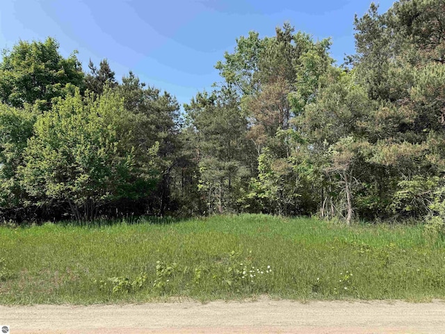 N Nelson Rd, Northport, MI 49670