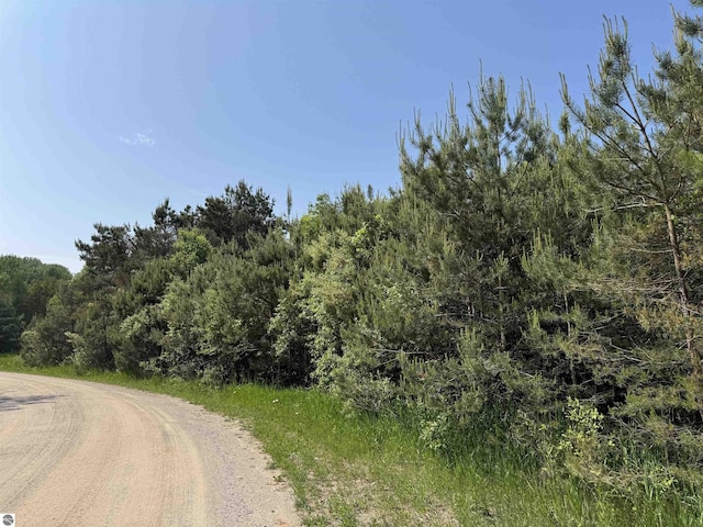 N Nelson Rd, Northport, MI 49670