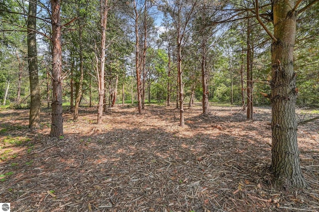N Nelson Rd, Northport, MI 49670