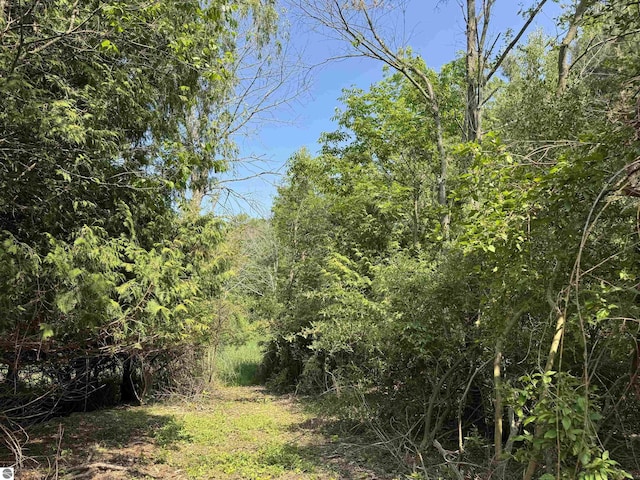 N Nelson Rd, Northport, MI 49670