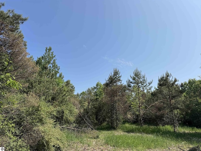 N Nelson Rd, Northport, MI 49670