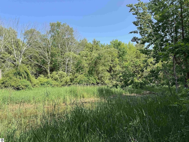 N Nelson Rd, Northport, MI 49670