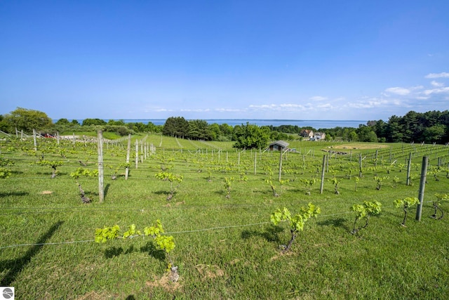 10702 E Hill Top Rd, Suttons Bay, MI 49682 - view of yard featuring a view of rural / pastoral area