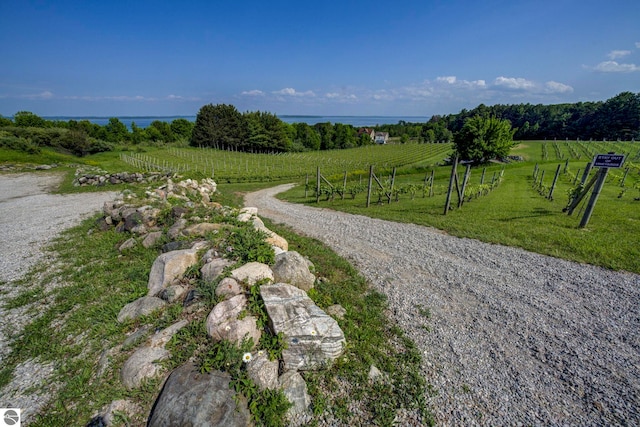 10702 E Hill Top Rd, Suttons Bay, MI 49682 - view of dirt / gravel road featuring a rural view