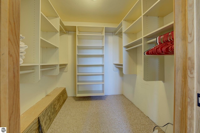 10702 E Hill Top Rd, Suttons Bay, MI 49682 - walk in closet with carpet