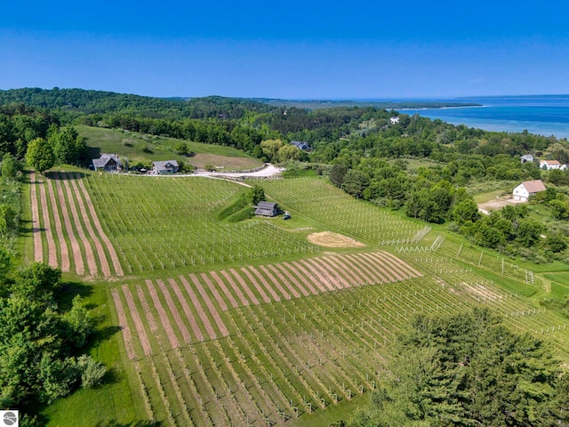 10702 E Hill Top Rd, Suttons Bay, MI 49682 - view of rural area featuring rows of crops and a nearby body of water