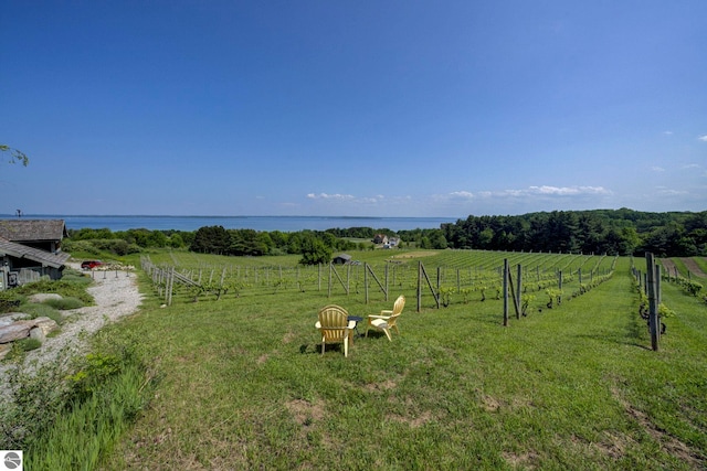 10702 E Hill Top Rd, Suttons Bay, MI 49682 - view of yard featuring a view of rural / pastoral area