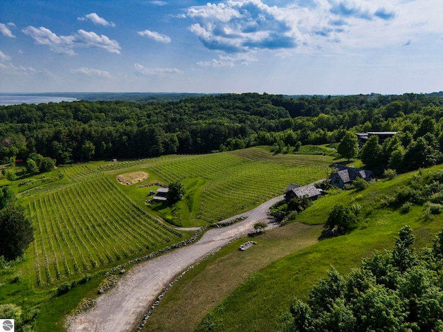 10702 E Hill Top Rd, Suttons Bay, MI 49682 - overview of rural landscape featuring large plots for crops