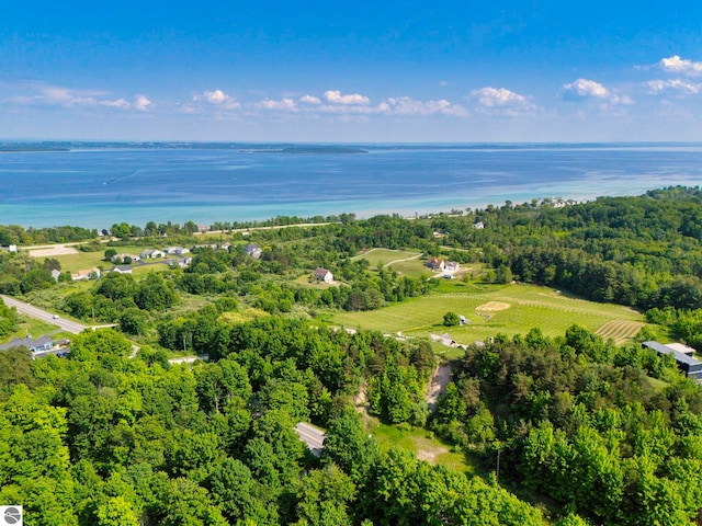 10702 E Hill Top Rd, Suttons Bay, MI 49682 - aerial view of property's location with a large body of water