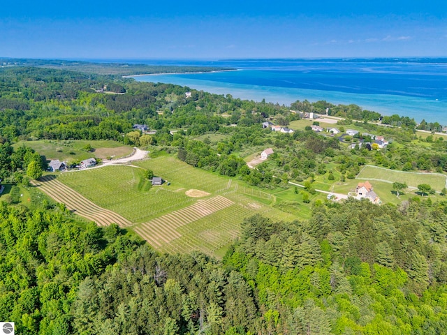 10702 E Hill Top Rd, Suttons Bay, MI 49682 - aerial view of property's location with a large body of water and a forest