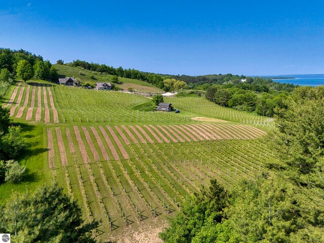 10702 E Hill Top Rd, Suttons Bay, MI 49682 - view of rural area with large plots for crops