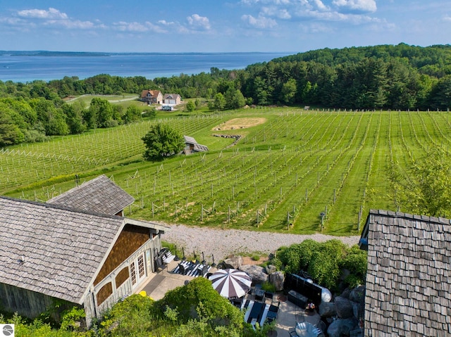 10702 E Hill Top Rd, Suttons Bay, MI 49682 - aerial view of sparsely populated area featuring large plots for crops