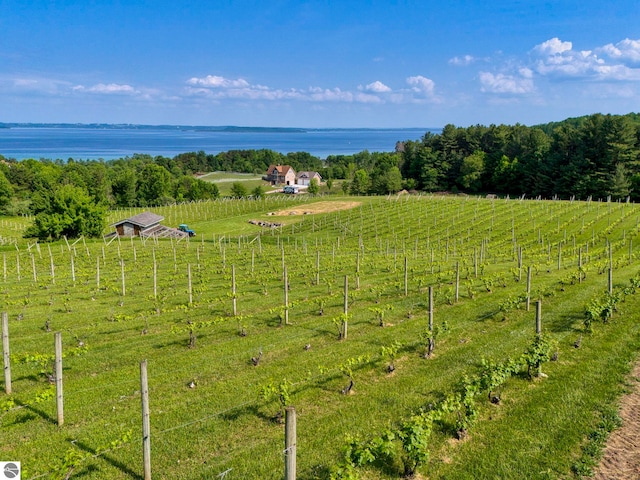 10702 E Hill Top Rd, Suttons Bay, MI 49682 - view of rural area featuring a large body of water