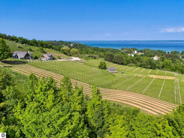 10702 E Hill Top Rd, Suttons Bay, MI 49682 - overview of rural landscape featuring large plots for crops