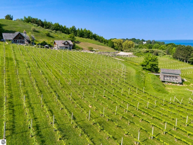 10702 E Hill Top Rd, Suttons Bay, MI 49682 - aerial view of sparsely populated area featuring farmland