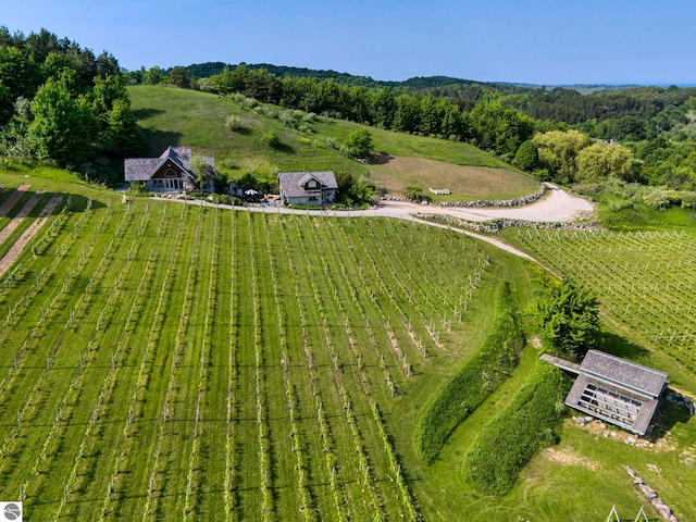 10702 E Hill Top Rd, Suttons Bay, MI 49682 - aerial view of sparsely populated area with extensive farmland