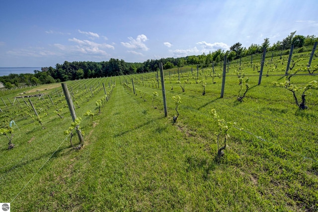 10702 E Hill Top Rd, Suttons Bay, MI 49682 - view of yard featuring a view of countryside