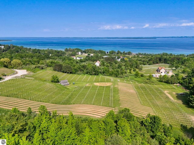 10702 E Hill Top Rd, Suttons Bay, MI 49682 - overview of rural landscape with large plots for crops