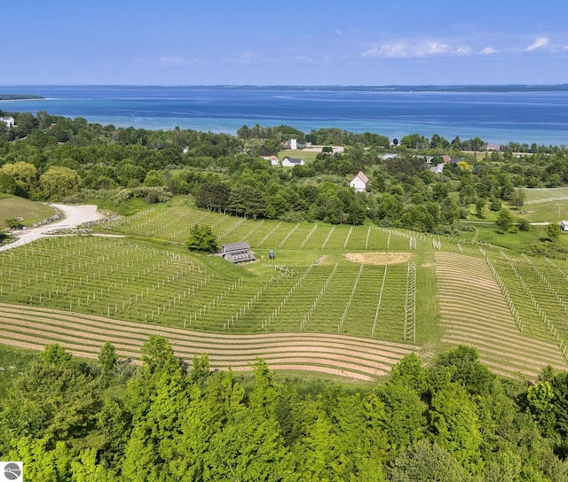 10702 E Hill Top Rd, Suttons Bay, MI 49682 - overview of rural landscape featuring abundant farmland