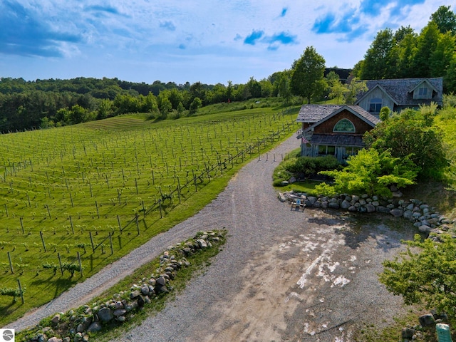 10702 E Hill Top Rd, Suttons Bay, MI 49682 - aerial view of sparsely populated area with rows of crops