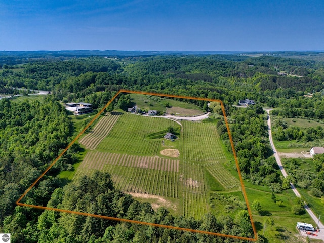 10702 E Hill Top Rd, Suttons Bay, MI 49682 - aerial view of sparsely populated area featuring property parcel outlined