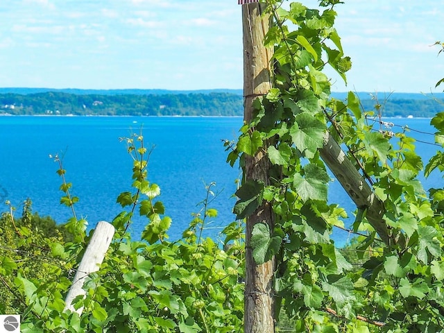 10702 E Hill Top Rd, Suttons Bay, MI 49682 - water view