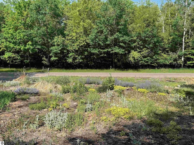 6740 Pheasant Run, Gaylord, MI 49735 - view of yard featuring a forest view