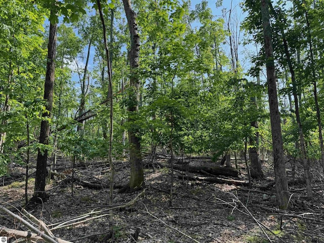 6740 Pheasant Run, Gaylord, MI 49735 - view of local wilderness
