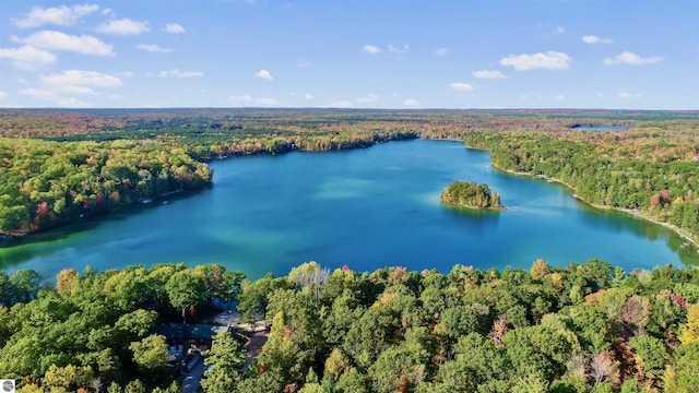 6740 Pheasant Run, Gaylord, MI 49735 - bird's eye view of a forest and a nearby body of water