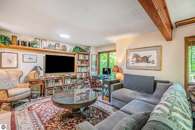 6740 Pheasant Run, Gaylord, MI 49735 - living room featuring healthy amount of natural light, a textured ceiling, and beam ceiling