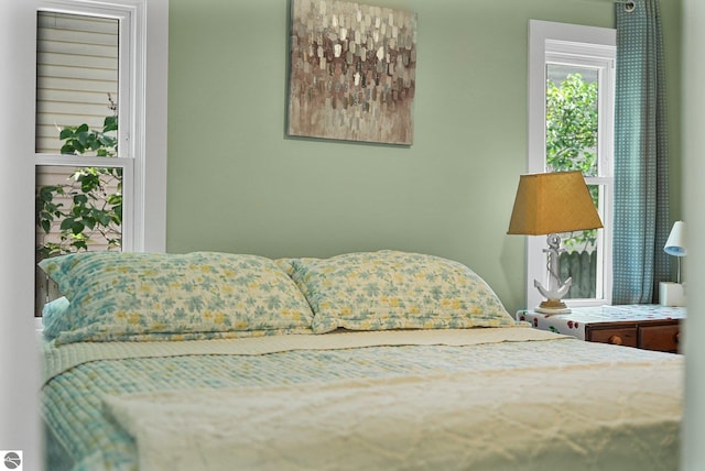 1029 E Front St, Traverse City, MI 49686 - view of bedroom