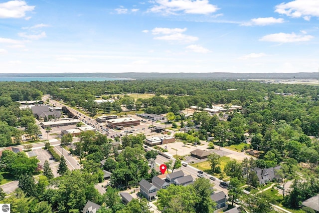1029 E Front St, Traverse City, MI 49686 - aerial view of a heavily wooded area
