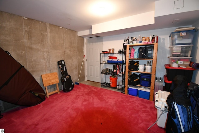 13354 Stover Rd Unit 6, Charlevoix, MI 49720 - finished below grade area with carpet