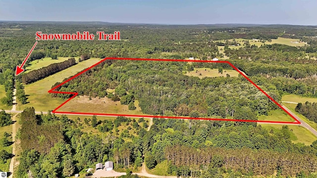 52ACRES Tannerville Rd, Kaleva, MI 49645
