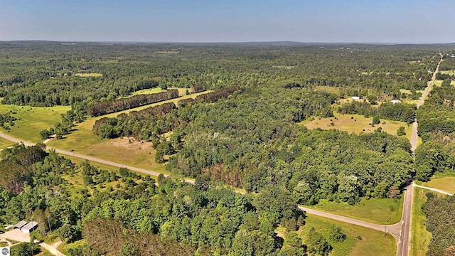 52ACRES Tannerville Rd, Kaleva, MI 49645